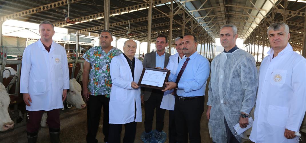 Orhangazi’de   Ari İşletme Sayısı 5 Oldu