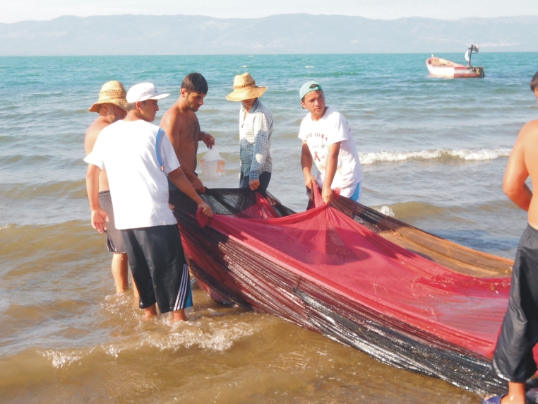 Gümüş balığı balıkçıların umudu oldu