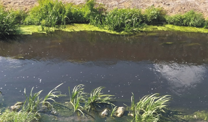 “Yakalayacağım sizi,  kaçamayacaksınız!
