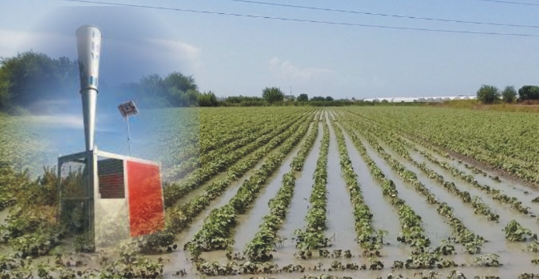 Bu kez kazanan doğa oldu