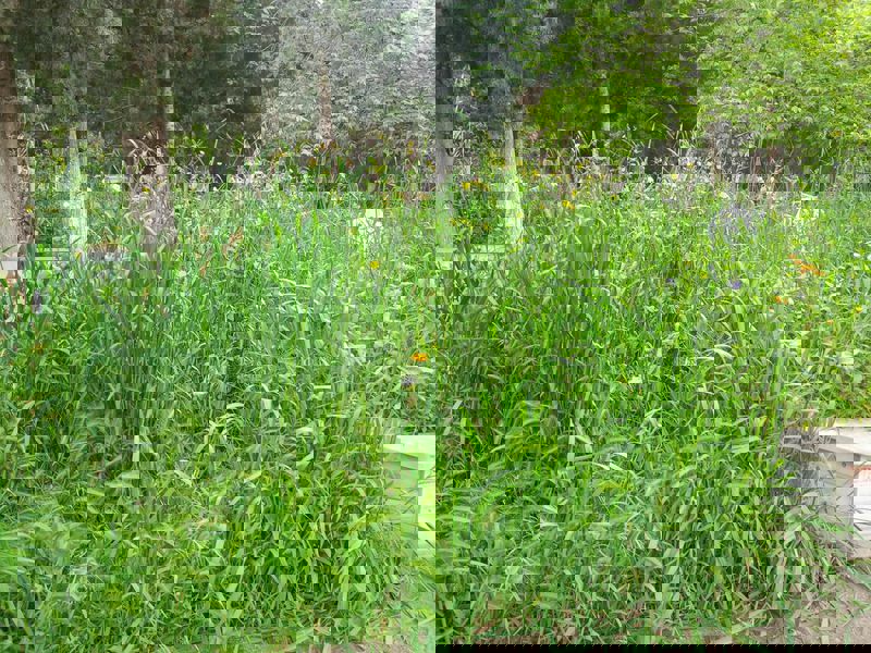 Orhangazi İlçe  Mezarlığı Yabani  Otlarla Kaplandı