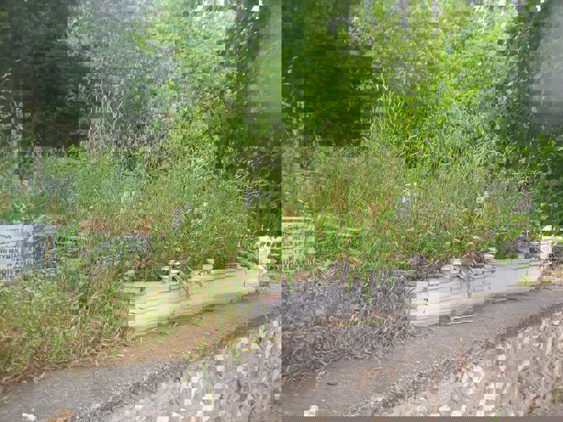 Eş Acısına Dayanamadı